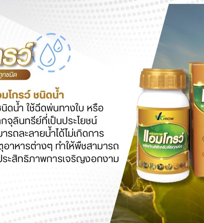 Item-