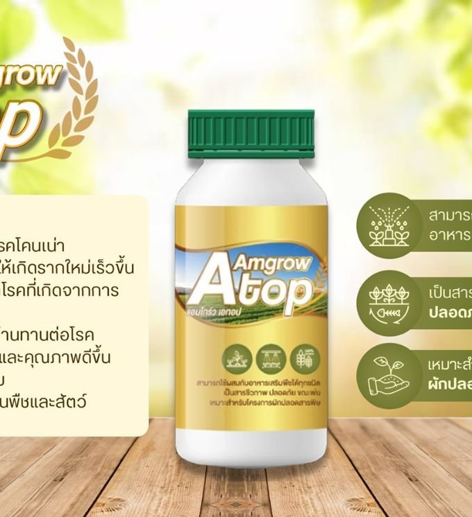 Item-