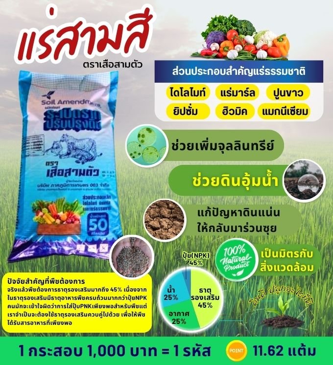 Item-